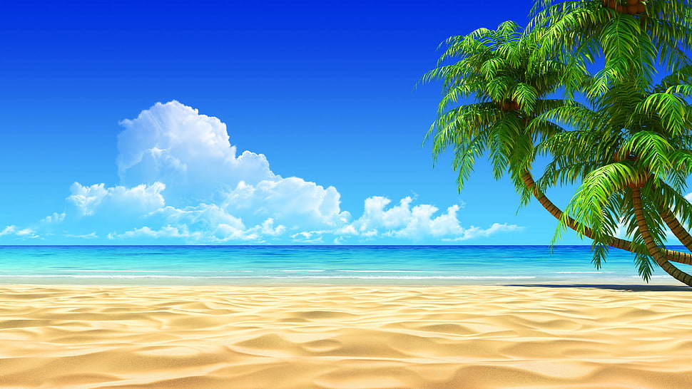 green leaves tree in front of beach shore during daytime HD wallpaper