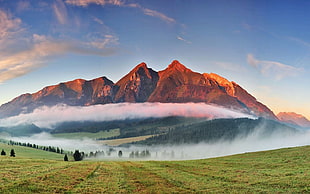 grene field, photography, nature, landscape, mountains HD wallpaper