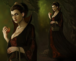 woman wearing red and black cloak and dress holding basket digital wallpaper HD wallpaper