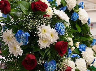 white Mums, blue Carnation and red Rose flower bouquet HD wallpaper