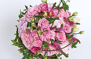 pink Roses bouquet closeup photo HD wallpaper