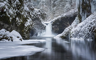 water falls surrounded by forest, nature, landscape, forest, mountains