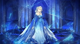 Disney Frozen Elsa digital wallpaper HD wallpaper