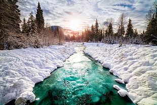river surrounded by snowfield photo HD wallpaper