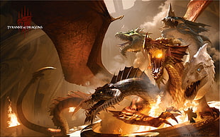 illustration of dragons HD wallpaper