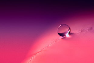 water drop on pink textile