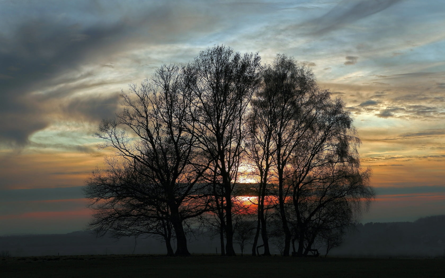 Bare trees photo during sunset HD wallpaper | Wallpaper Flare