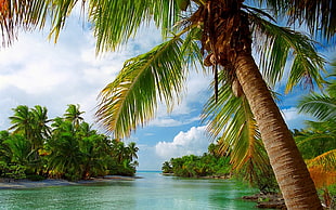 rippling body of water surrounded with island