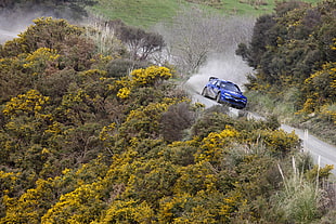 blue car, Subaru, rally cars