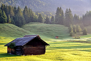 brown wooden house and green grass field HD wallpaper