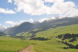 landscape photography of green grass fields