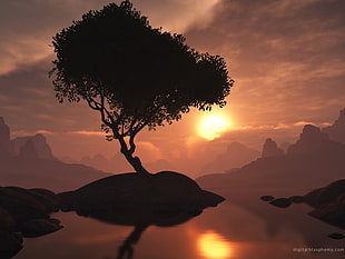 silhouette of tree and island, Digital Blasphemy, render, digital art, sky HD wallpaper