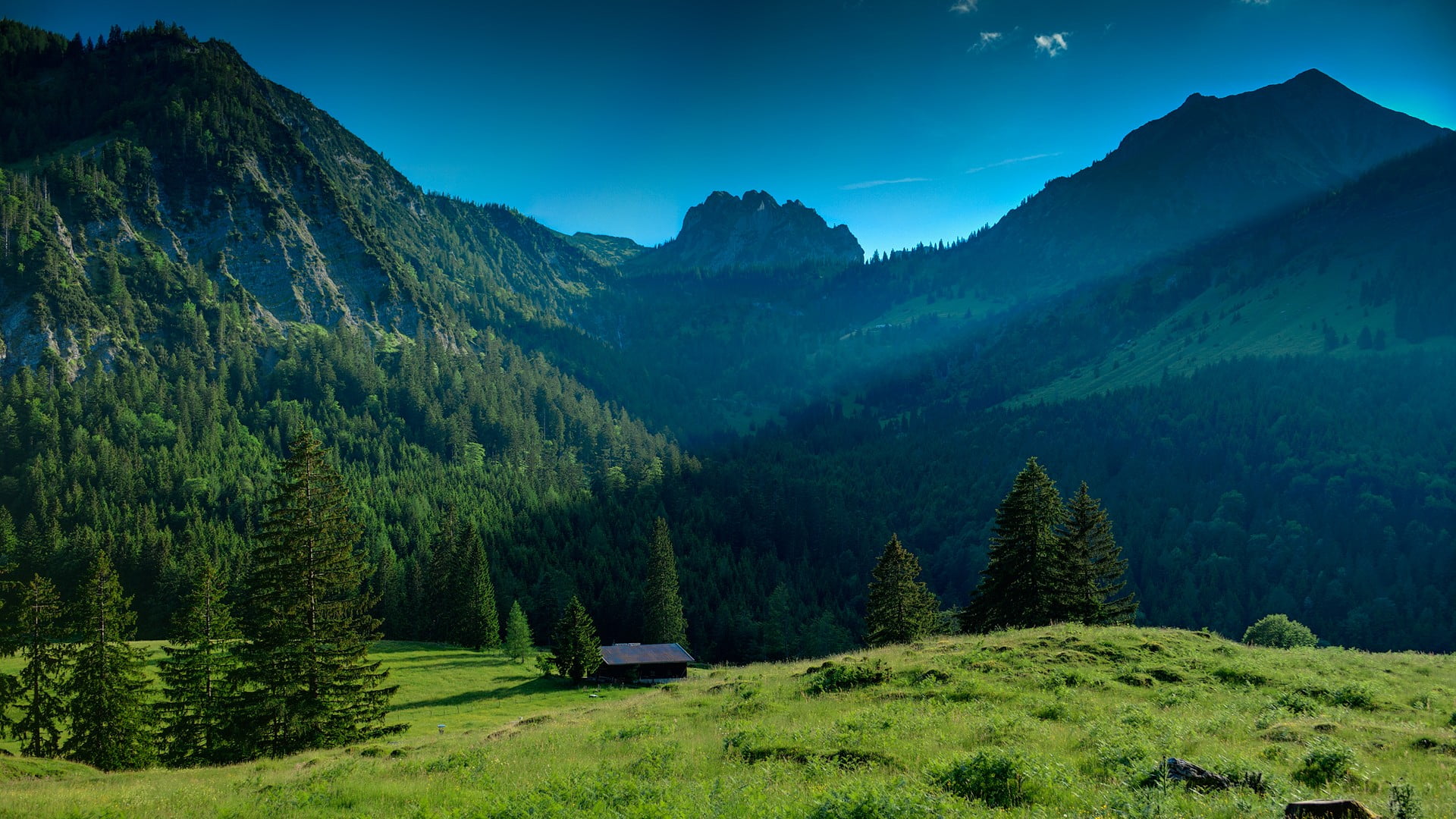 green pine tree, landscape, nature, valley, trees