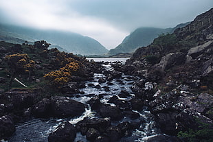 gray rock, River, Stones, Stream HD wallpaper