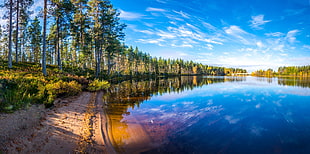 body of water, landscape, reflection, trees, shore