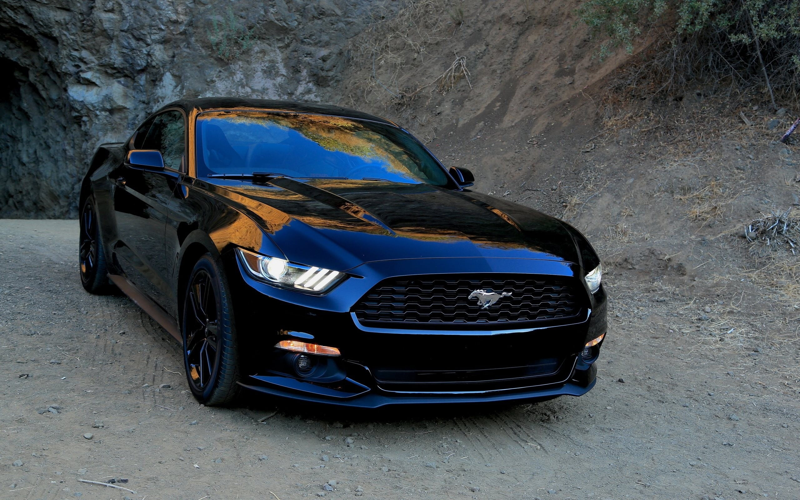 1920x1080 resolution | black Ford Mustang during daytime HD wallpaper ...