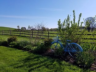 blue city bike near garden at daytime HD wallpaper