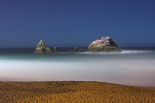 body of water during daytime, seal rock HD wallpaper