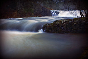 photo of river stream beside trees