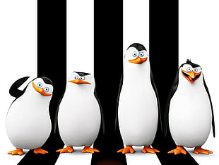 four Madagascar Penguin photo HD wallpaper