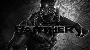 Black Panther artwork HD wallpaper