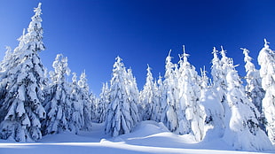 white and blue abstract painting, snow, trees