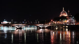 gray concrete bridge, Lyon, France, photography, night HD wallpaper