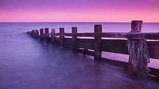 brown wooden fence