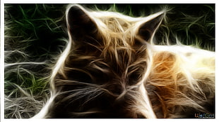 white cat illustration, cat, Fractalius HD wallpaper