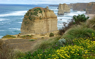 rock formation on seashore during daytime