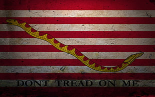 yellow and red snake illustration, libertarianism, flag, United States Navy, naval jack HD wallpaper