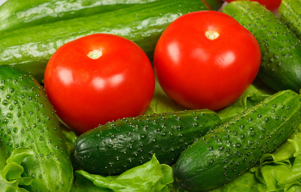 green pickles and two tomatoes photo HD wallpaper