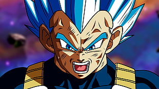 Vegetta from Dragonball Z, Vegeta, Dragon Ball, Super Saiyan Blue, Super Saiyan HD wallpaper