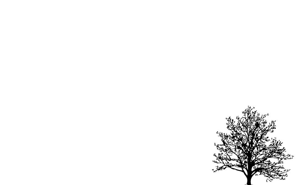 tree illustration with white background HD wallpaper