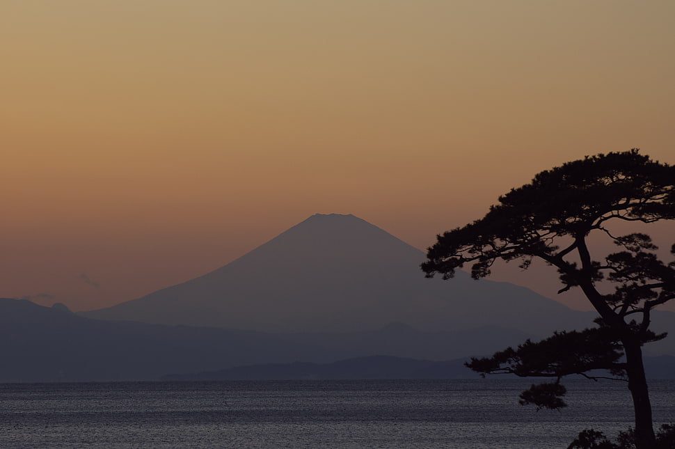 mountain and tree silhouette during golden hour HD wallpaper