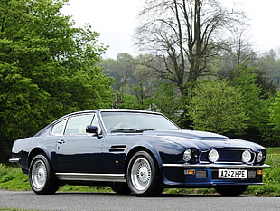 classic blue Aston Martin coupe on road near trees