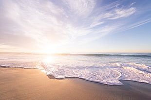 sea shore under blue sky