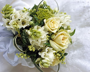 bouquet of white roses HD wallpaper