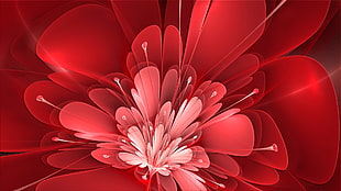 close up photo of red petaled flower