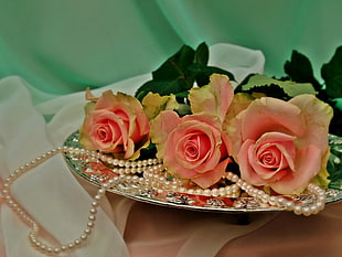 three pink Roses beside Pearl necklace HD wallpaper