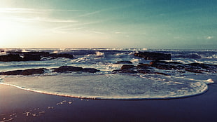 seashore, sea, sky, nature, horizon