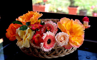 assorted color petaled flowers in basket HD wallpaper