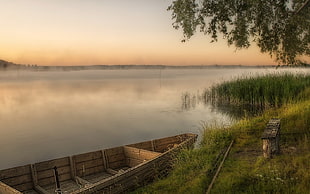 brown john boat on lake in front of green tree HD wallpaper