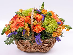 brown wicker basket with orange Rose and Daisy, purple Statice flowers, and green Spider Mum flowers HD wallpaper