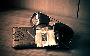 silver framed Ray-Ban sunglasses Sepia photography