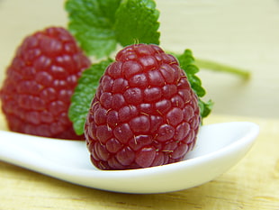 two raspberries on white ceramic spoon HD wallpaper