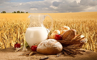 bread and glass of milk photo HD wallpaper