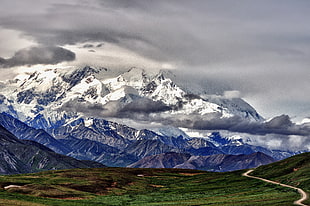 view of alps mountain during daytime, denali