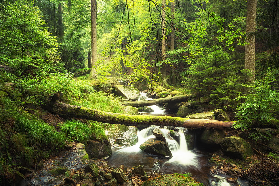 time lapse photography of water flowing on rock formation in forest HD wallpaper