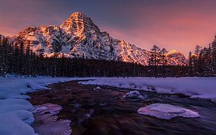 foreste covered with snow, landscape, nature, lake, Alberta